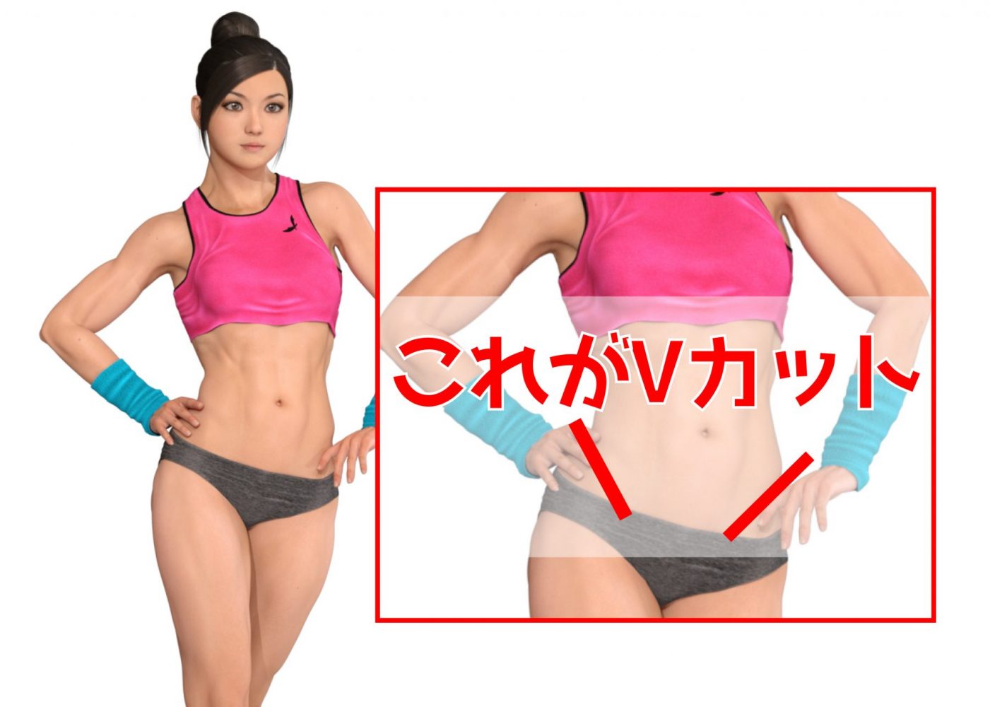 【腹筋の鍛え方】女性でも4分で【Vカット】をゲット出来る方法はコチラ＞ 【筋トレメニュー】自宅で出来る筋トレ動画集